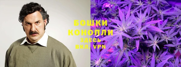 каннабис Белокуриха